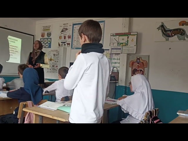 Открытый урок на тему: ,, Морфологический разбор существительного,,