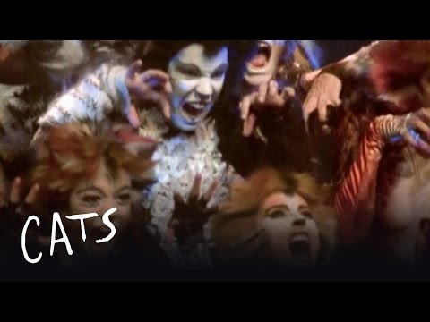 The Unique Challenges of Cats - Behind the Scenes | Cats the Musical
