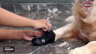 Download lagu Trixie- Walker Active Protective Boots for Dogs | Best Dog Shoes | Paw Protection mp3 Download lagu Trixie- Walker Active Protective Boots for Dogs | Best Dog Shoes | Paw Protection mp3
