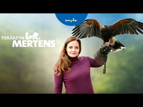 Tierärztin Dr. Mertens – die neue Staffel | Trailer | MDR