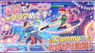 ハイパーストリートファイターII