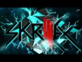 Skrillex & Damian Marley - Make It Bun Dem ...