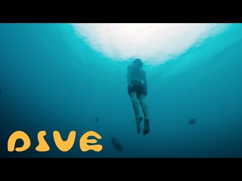 Blue Child Collective - Dive [OFFICIAL MUSIC VIDEO]