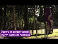 Autistische Wesley neemt overdosis, ouders en zorgpersoneel Pluryn luiden de noodklok