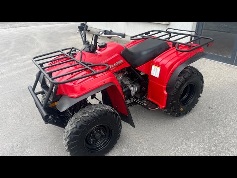 Yamaha BEARTRACKER 250 - Image 2