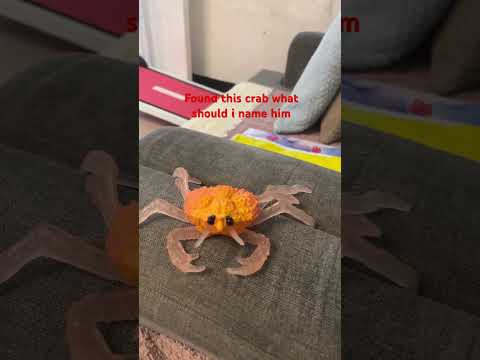 #crab #cool #nice #name #krabs #crabby #coolcrab #shorts