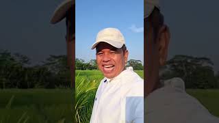 Download lagu Come on, who doesn't want to eat || Kang Dedi Mulyadi #kdm #kangdedymulyadi #dedimulyadi mp3 Download lagu Come on, who doesn't want to eat || Kang Dedi Mulyadi #kdm #kangdedymulyadi #dedimulyadi mp3