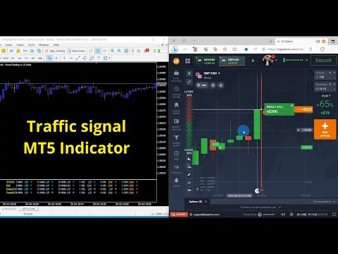 Video Darwin Assistant