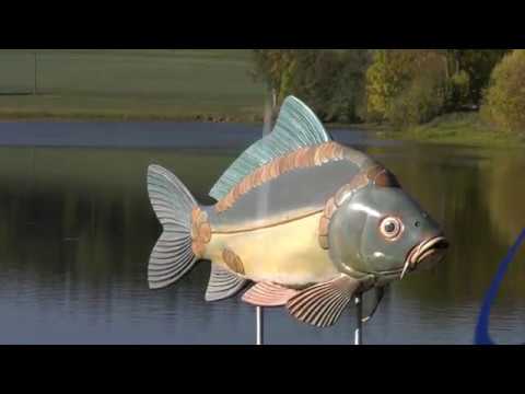 Abfischen bei der Kornthaner Karpfenkirchweih