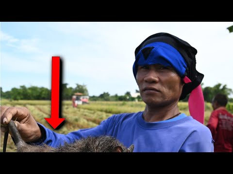 I don't want to eat this - Bordercrossing to Thailand - Immortal Adventures #009