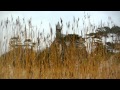 Y Brodyr Bordelique Hint At Her Hinterland Y Gwyll BBC Wales S4C