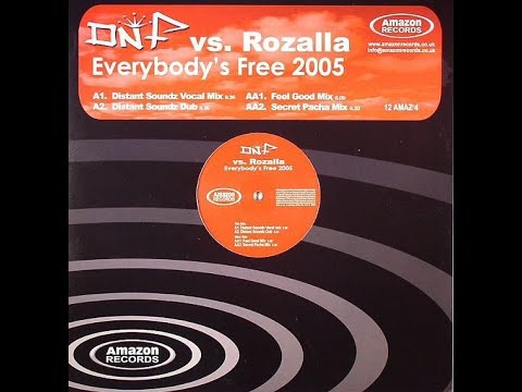 DNF  vs. Rozalla – Everybody's free  (Distant Soundz Vocal Mix)