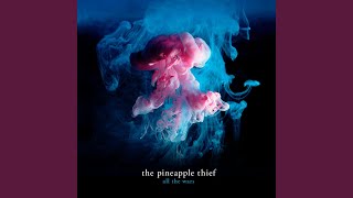 Music video thumbnail preview for Burning Pieces by The Pineapple Thief