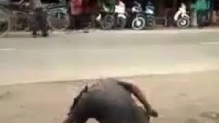 Download lagu Vidio lucu abisss.  WONG EDAN KUI BEBAS(Orang gila itu Bebas) mp3