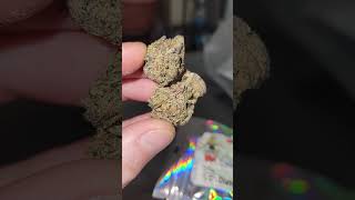 Video 2