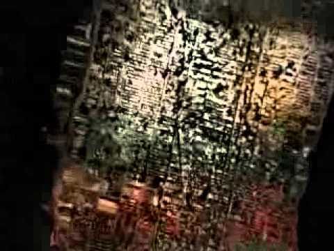 Tc - Record's (Shake bounce) Real.Mc ft Erdinn & El-Capoo.flv