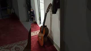 Download lagu Gitar Tua mp3