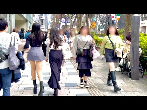 HARAJUKU BEST WALK (Apr 2024) Beautiful Street Tokyo Walk
