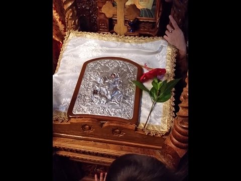 Vindecarea demonizatului din ținutul Gherghesenilor - Predica Părintelui Marius Moşteanu - 26/10/14