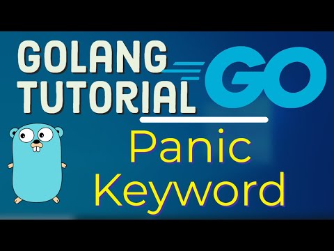 Go Tutorial Golang 24 Panic Keyword in Golang