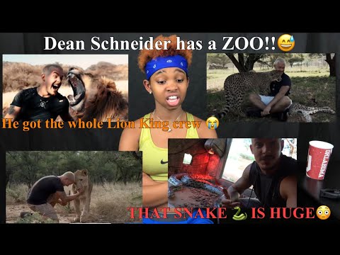 DEAN SHNEIDER'S ANIMAL FAMILY!! REACTION