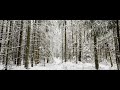 På Tur Med Pelle ASMR Forest Walk In Snow