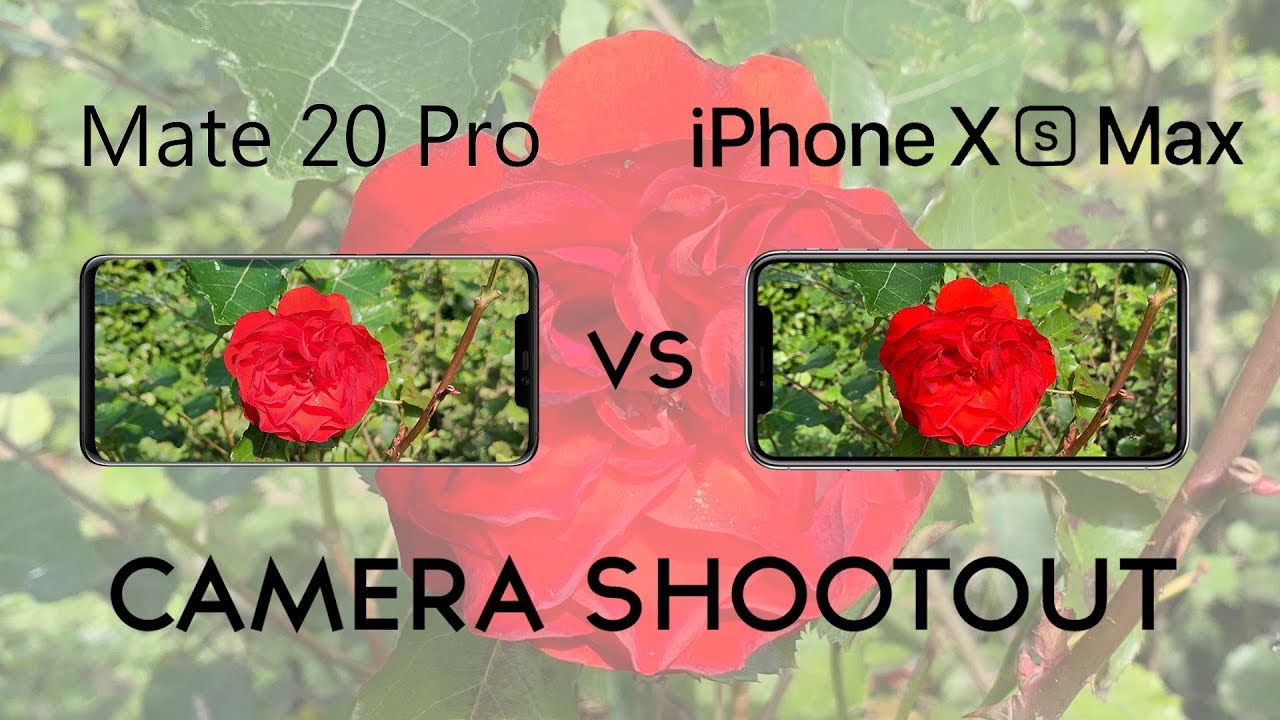 Huawei Mate 20 Pro vs iPhone Xs Max: Camera Shootout