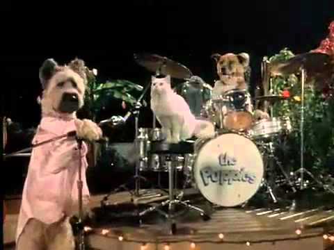 Video $The Karate Dog