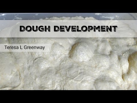 Mixing and Dough Development