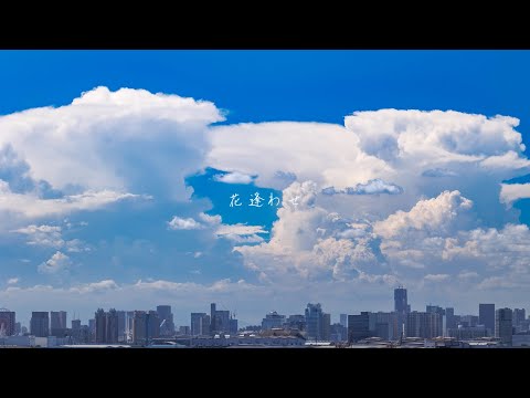 花逢わせ