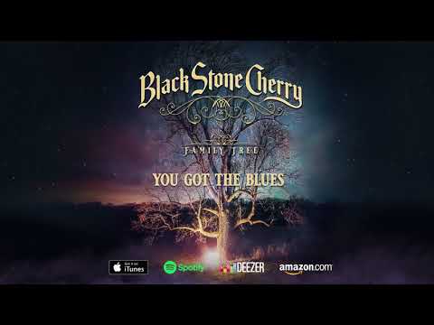 Video thumbnail for You Got the Blues