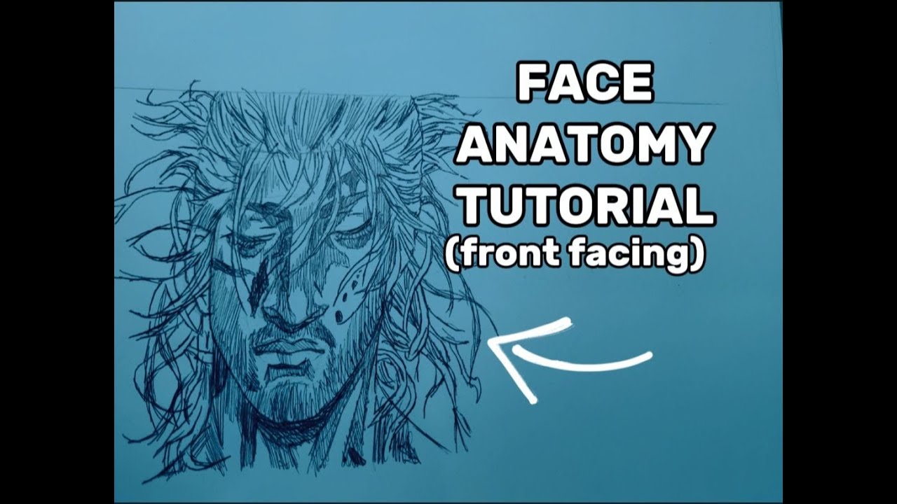 Facial Anatomy Tutorial⭐(Front Facing)⭐