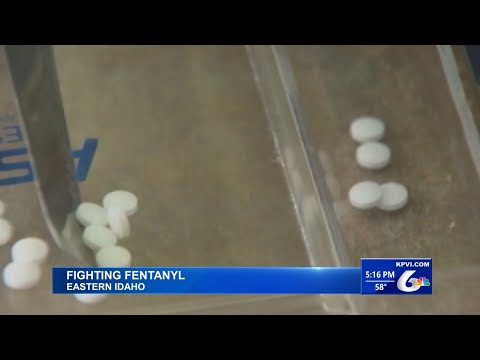 Part 3 of Fighting Fentanyl