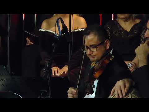 Doc. Dr. Murat Gürel / Keman Sifa Veren Makamlar Konseri 15.12.24 Eski Dostlar TSM Korosu Wuppertal