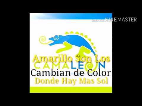 Baila Piola - Amarrillo