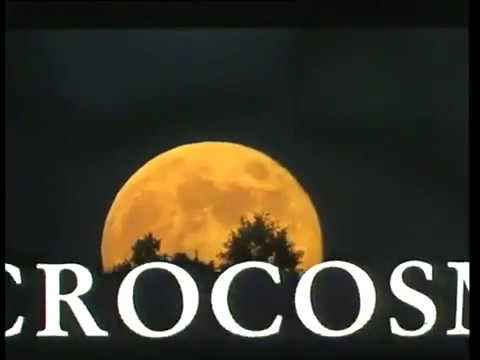 Microcosmos Le peuple de l'herbe (1996) - Bande Annonce