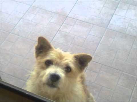 download lagu mp3 mp4 Matane Primitivo Puglia, download lagu Matane Primitivo Puglia gratis, unduh video klip Matane Primitivo Puglia