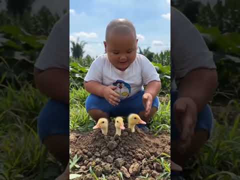 wowww #comedy #funny #funnyshorts
