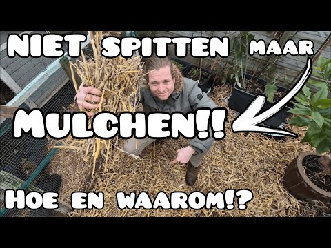 Stimulating soil life with mulch - Explanation inspired by @soilfoodwebschool!