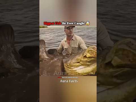 300Kg Monster Fish #shorts