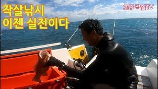 호주 작살TV 작살낚시 실전 영상