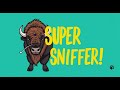 American Bison: Cute but Super Sniffy