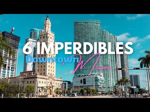 Top 6 cosas que hacer en Downtown Miami | Guía para turistas y nuevos residentes