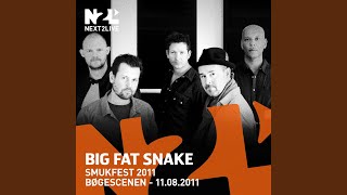 Music video thumbnail preview for You're an Apple, I'm an Orange (Live) by Big Fat Snake