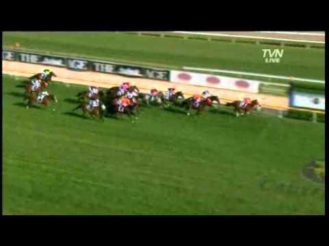 2011 Age Caulfield Guineas Day Preview - Rick Hore-Lacy