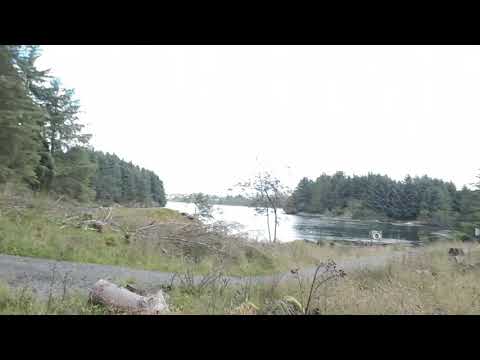 Walking back from the Viking Farm - Avaldsnes, Norway