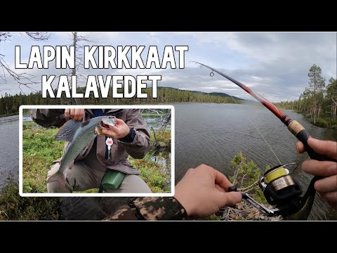 HARJUKSEN JA TAIMENEN KALASTUSTA LAPISSA