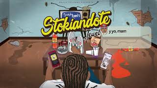 Jewel D ❌ Stokiandote (Spanish Remix ● Stalking You)