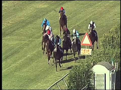 Galoppo 19/06/2015 - 5° corsa