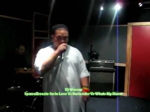 SpawnBreezie - Im In Love Vs Bartender Vs Whats My Name Dj Wassup Remix